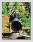 Carte d'anniversaire: raton laveur photographiant avec un Nikon(CAP0053)