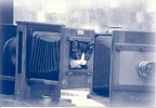 Chat dans une chambre photo (N&B)(CAP0073)