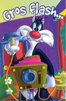 Carte d'anniversaire : Looney Tunes : Grosminet: « Gros flash »(CAP0205)