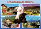 « Gros bisous de Morzine » : chat avec app. photo(CAP0353)