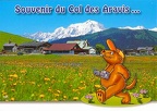 Marmotte photographe : « Souvenir du Col des Aravis... »(CAP0405)