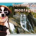 Tourisme en montagne ! : chien avec un Photax<br />(CAP0422)