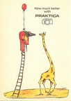 « How much better with Praktica » (girafe)(CAP0836)