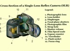 Cross-Section of a Single-Lens Reflex Camera(CAP1256)