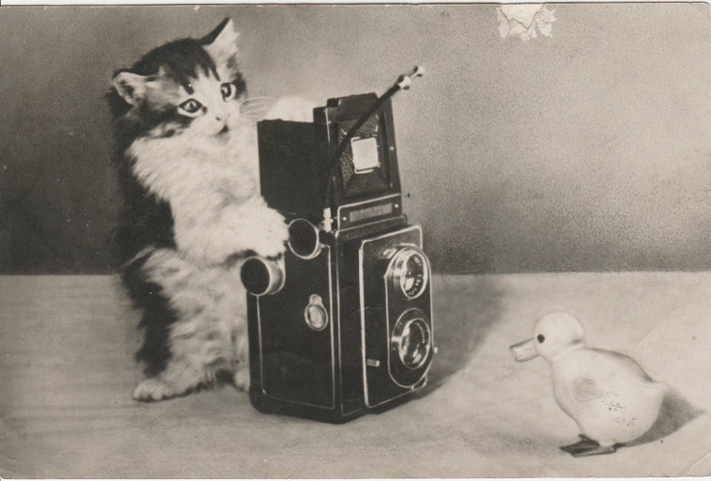 Chaton photographiant un caneton avec un Ikoflex
CAP1356
-
Texte recto: -
Texte verso: voir photo (poésie de ?)
Vue recto: photo monochrome de Venedikt Erofeïev
Date: 1957
Pays: Urss
Editeur / imprimeur: ?
Type: CPSM
Dos: non divisé
Ecrite: oui; Timbre: -; Date d'oblitération / lieu: 14.?.1959
Forme: coins carrés
Format: 142x92mm
Appareil présenté: Ikoflex II
Réf: III 11680-56
Commentaires:
Tirage: 50 000 ex.
CAP1356_01.jpg