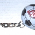 Ballon de foot Fuji<br />(GAD0290)