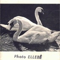 Pochette : Kodak<br />(Ellebé, Rouen)<br />(NOT0304)