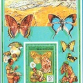 Papillons et scouts(PHI0639)