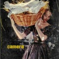 Camera(REV-CM1956-02)