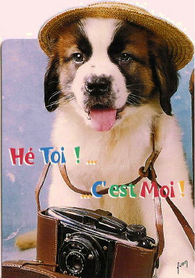 Chien tenant un Photax : « Hé toi ! ... C'est moi »(CAP0296)