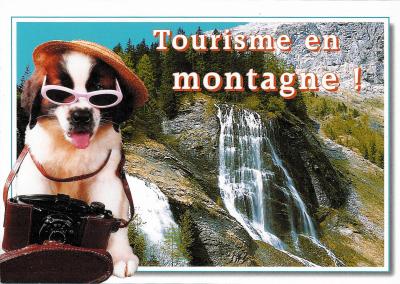 Tourisme en montagne ! : chien avec un Photax(CAP0422)