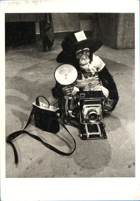 Singe photographe avec une Crown Graphic
CAP0787
-
Pub photo: Graflex
Texte recto: ?
Texte verso: ?
Vue recto: ?
Date: -1989
Pays: France
Editeur / imprimeur: Admira
Type: ?
Fête: -
Dos: ?
Ecrite: ?; Timbre: ?; Date d'oblitération / lieu: ?
Forme: ?
Format: 105x150mm
Appareil présenté: ?
Référence: PHN 705
Commentaires:
CAP0787.jpg