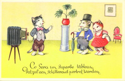 Cette carte une séance de photographie avec 3 chats humanisés.
La légende est en français et en néerlandais.
Texte recto : « Cela sera un superbe tableau
Datzal een schitterend portret worden »
Texte verso : -
Vue recto : Dessin couleur.
Date : 9999
Pays : Belgique
Éditeur : Rodra / Coloprint
Type : CPSMFête : -
Dos : divisé
Écrite : ouiTimbre : -
Date : -Lieu : -
Forme : bords droits, coins carrésFormat : 138 x 88 mm
Matériel présenté : chambre sur pied
Référence : 382
Commentaires : -
Liens web : -
N° inventaire : CAP0861
CAP0861.jpg