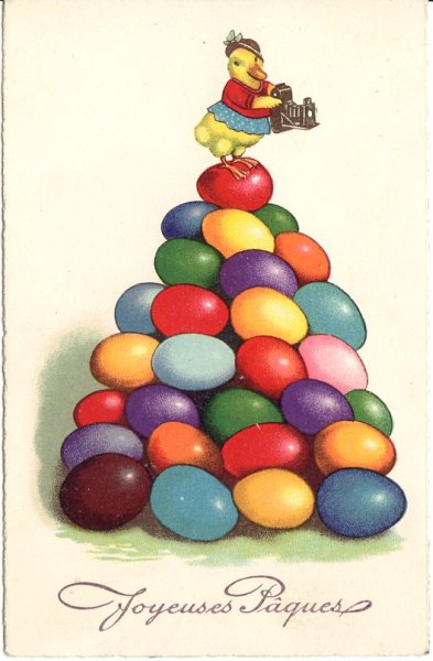 Canard sur une montagne d'œufs(CAP1154)