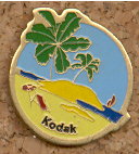 Île, palmier (Kodak)(PIN0302)
