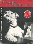 Les chiens grands et petitsP. Johnson(BIB0248)
