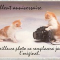 2 chats se prenant en photo(CAP0071)