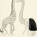 Girafes, dessin de Dubout<br />(CAP0089)