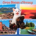 « Gros bisous d'Annecy » : chat avec app. photo(CAP0138)