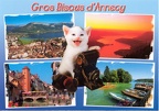 « Gros bisous d'Annecy » : chat avec app. photo(CAP0138)