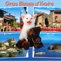 « Gros bisous d'Yvoire » : chat avec app. photo Jubilette Balda<br />(CAP0196)