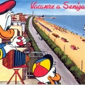 Donald photographiant une plage<br />(CAP0228)