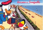 Donald photographiant une plage(CAP0228)