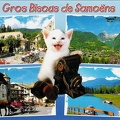 « Gros bisous de Samoens » : chat avec app. photo Jubilette Baldav<br />(CAP0248)