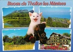 « Gros bisous de Thollon les Mémises » : chat avec app. photo(CAP0297)