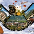 Bonneville : chat avec un folding Balda<br />(CAP0357)