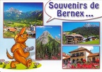 Marmotte photographe : »Souvenirs de Bernex... »(CAP0430)