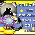 « Souris... Les nouvelles sont au dos! », chat photographe<br />(CAP0437)