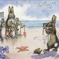 Famille lapins sur la plage(CAP0479)