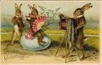 Lapin photographe : « Easter Greeting », lapins assis sur un œuf(CAP0483)