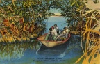 Touristes sur un bateau, Everglades, Floride(CAP0552)