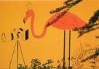 _double_ Flamant rose(CAP1056a)