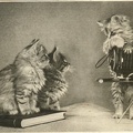 3 chats avec un Bergheil<br />(CAP1191)