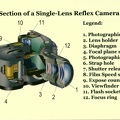 Cross-Section of a Single-Lens Reflex Camera<br />(CAP1256)