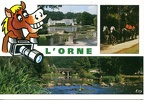 L'Orne, cheval avec un appareil photo(CAP1266)