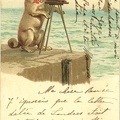 Chien photographe(CAP1568)