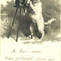 Chien photographe(CAP1589)