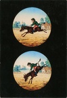 Plaque de verre mécanisée(CAP1788)