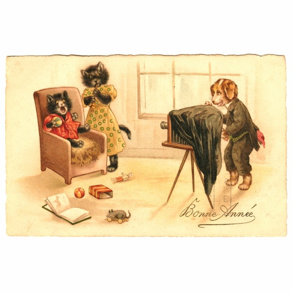 Chiens et chats(CAP1896)