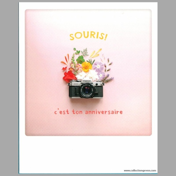 « Souris ! c'est ton anniversaire »(CAP1981)