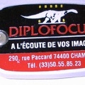 Diplofocus<br />(GAD0083)