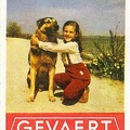 Etiquette de boîte d'allumettes Gevaert Film<br />(GAD0835)