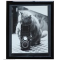 Cadre photo : chat avec un Rolleiflex(GAD1423)