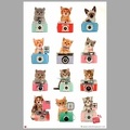 Poster : 12 chats<br />(60 x 91 cm)<br />(GAD1559)