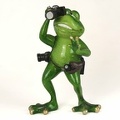 Grenouille photographe<br />(GAD1725)