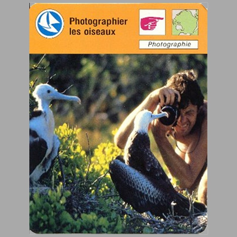 Photographier les oiseaux(NOT0357)